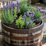 Planter